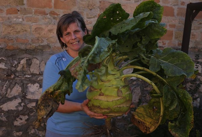 Kakuláné kezében a kapitális karalábé