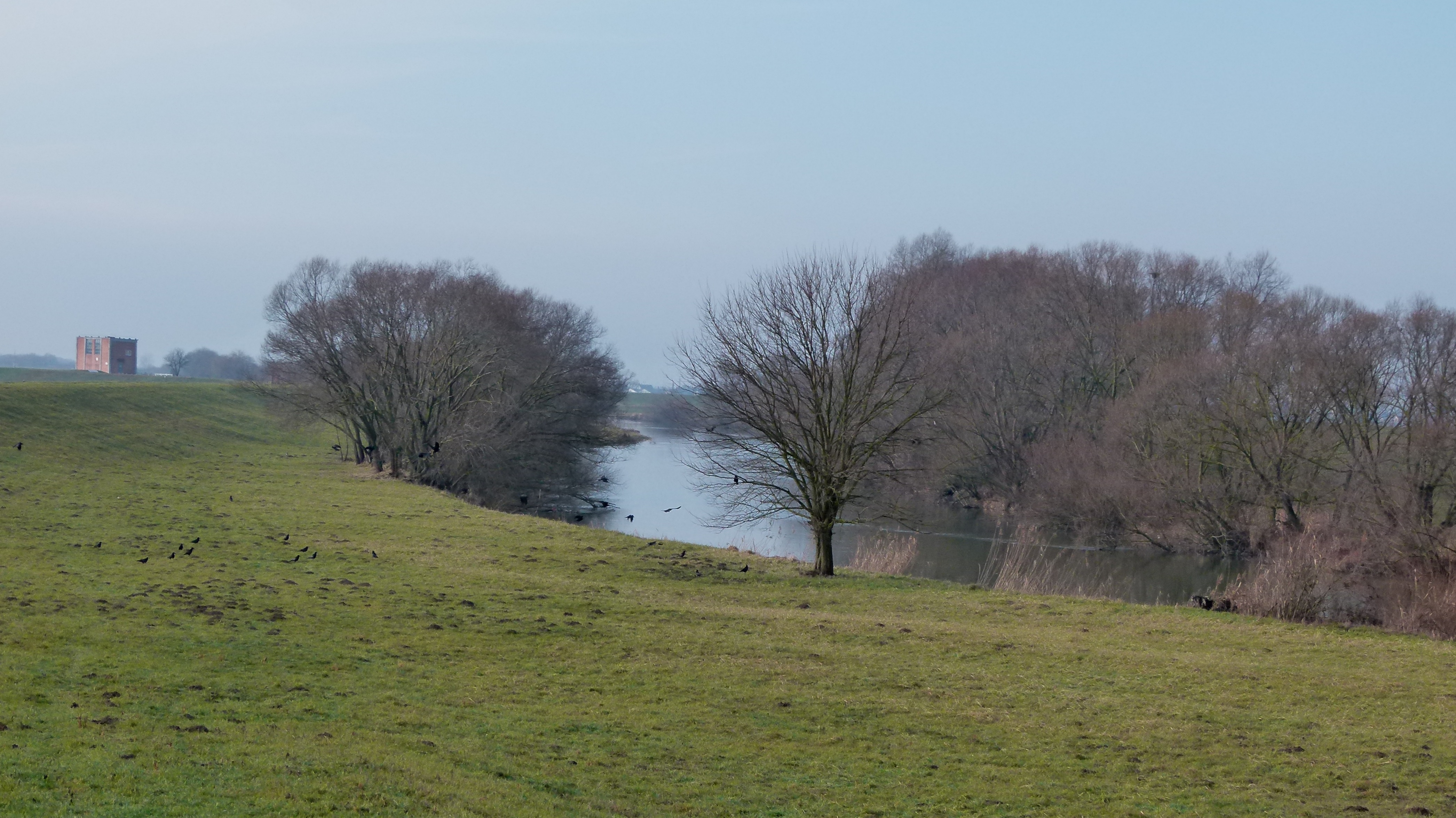 Illustration for article titled Igazoltatott a rendőr - megírom.