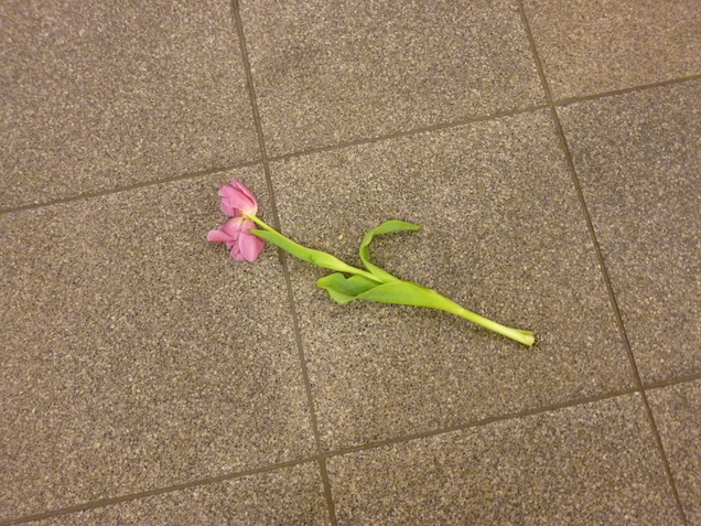 Nem értem, kik tartják el a budapesti virágboltosokat (a nap kérdése)