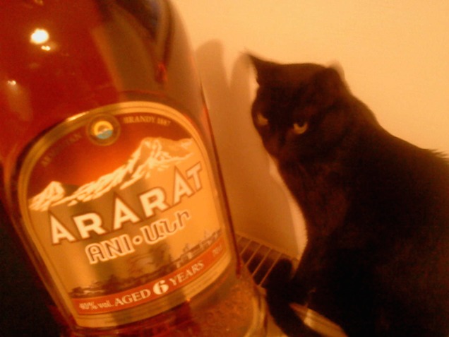 Egy beteljesült újévi fogadalom története