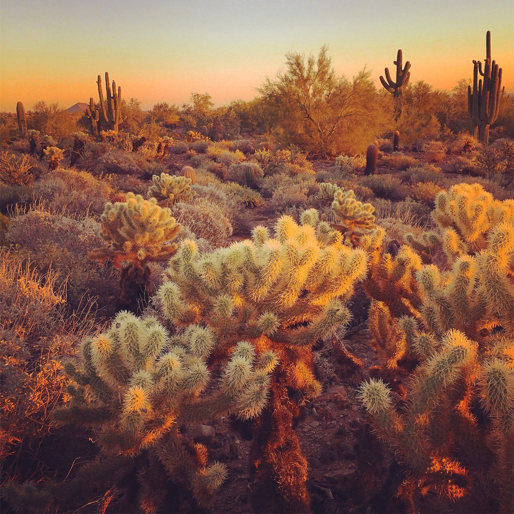 Illustration for article titled Nem lennék most fényképezőgép-gyártó