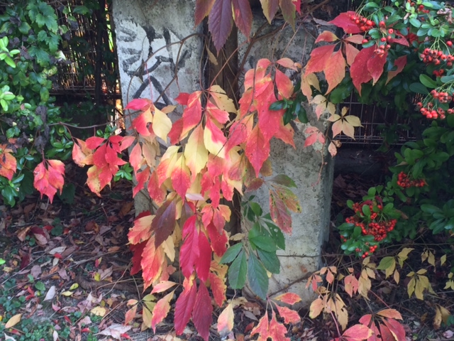 Illustration for article titled Megtaláltam a világ legromantikusabb villanyoszlopát