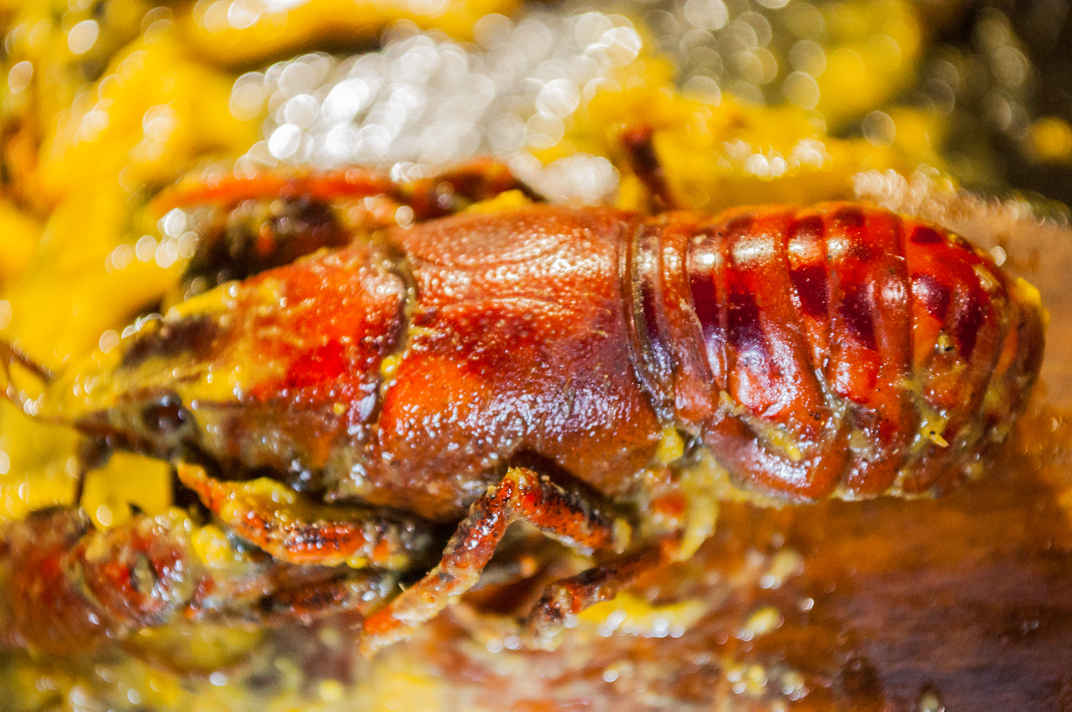 Illustration for article titled Elfoglalják a hazádat? Edd meg őket bosszúból!