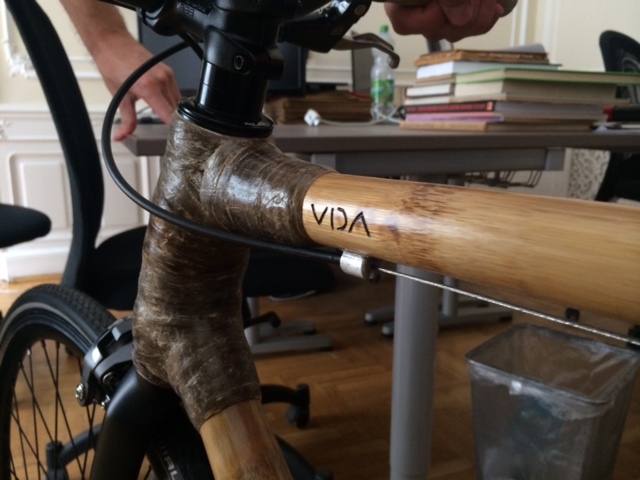 Illustration for article titled Már az ember tudatállapota is megváltozik egy bambuszbringán