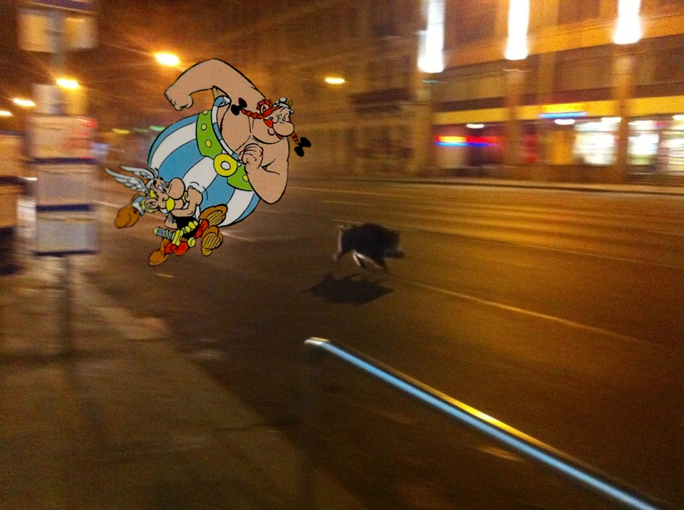 Illustration for article titled Pörög a mémgyár a pesti vaddisznók miatt