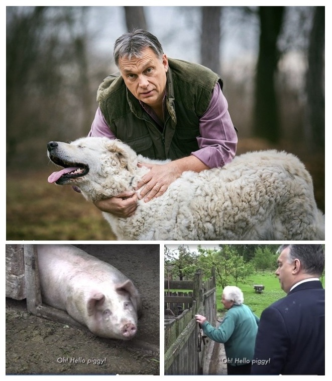 Illustration for article titled BUGYIBÓL - KATARBA! TEJÚTRENDSZER!