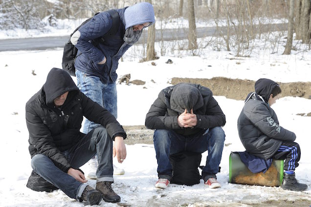 Rogán Antal izomból üti a menekültvasat