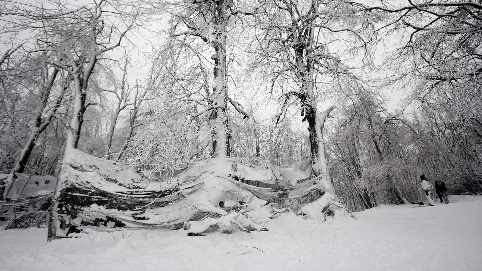 Illustration for article titled Itt a tél, és egyébként mindenki azt ír, amit akar, csak írjon!