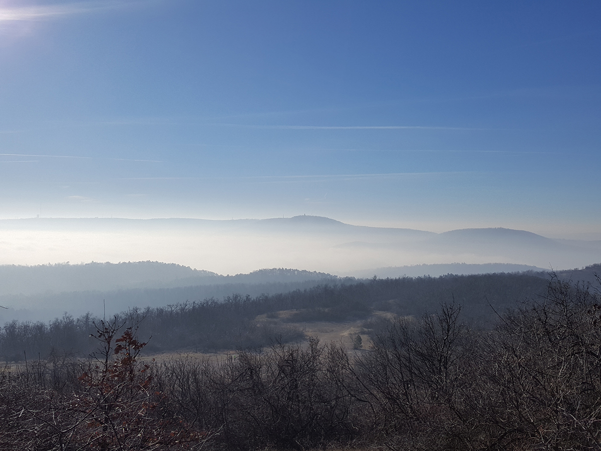 ... és volt, hogy nagyon nem
