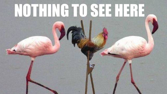 Kósa: Ez egy magánvállalkozás, aminek van egy belső, munkaügyi vitája