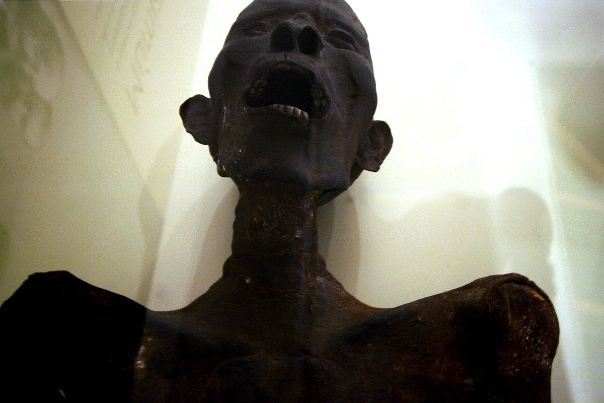 Illustration for article titled Hogy Sándor Terézia vámpír lett volna? Ugyan már!