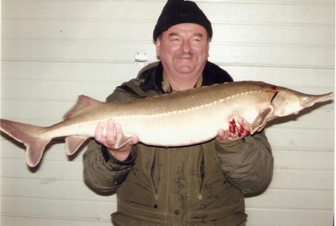 Illustration for article titled Az év hala lehet a pinafésű, ha rá szavazol