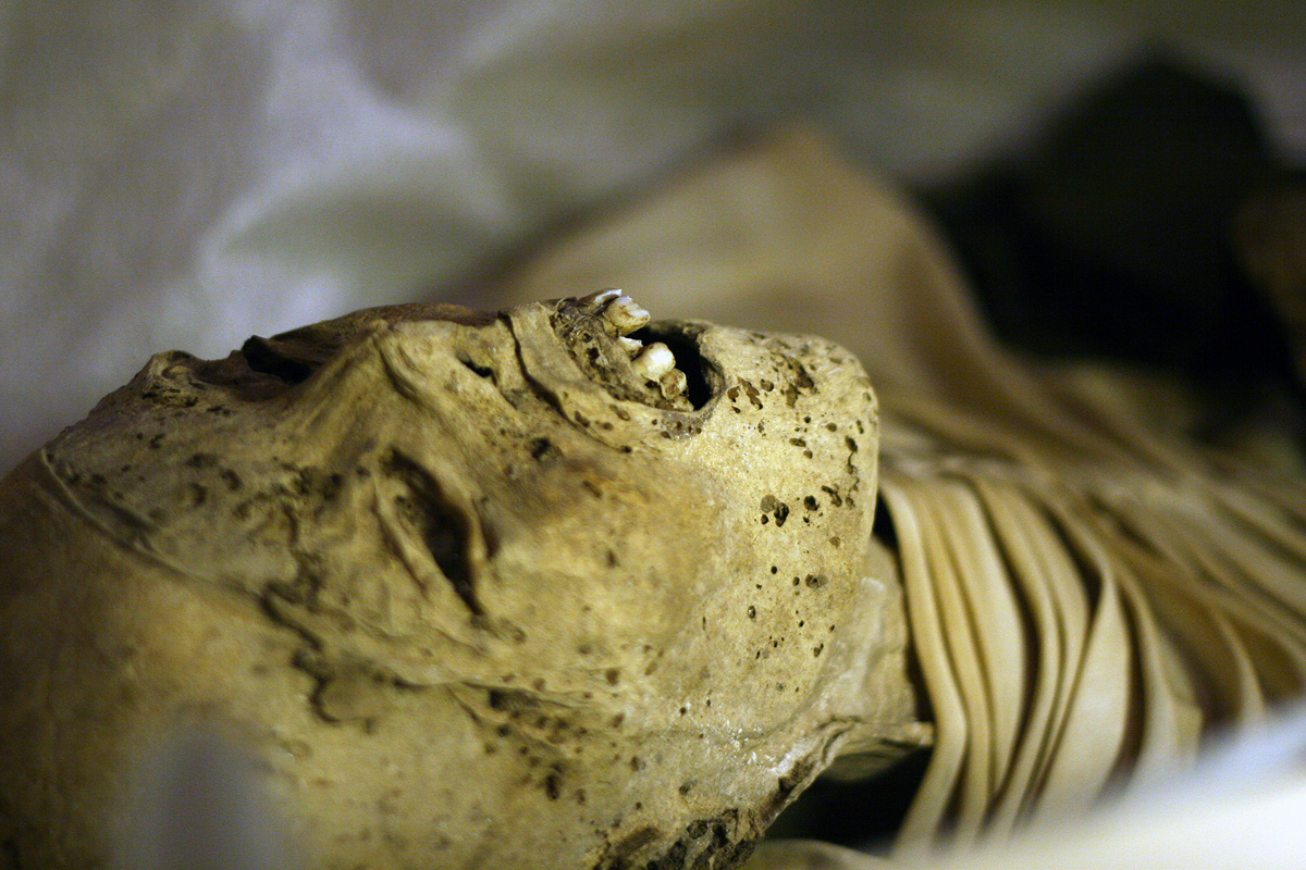 Illustration for article titled Hogy Sándor Terézia vámpír lett volna? Ugyan már!