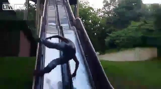 Ha egy csúszdát lezárnak, annak oka van