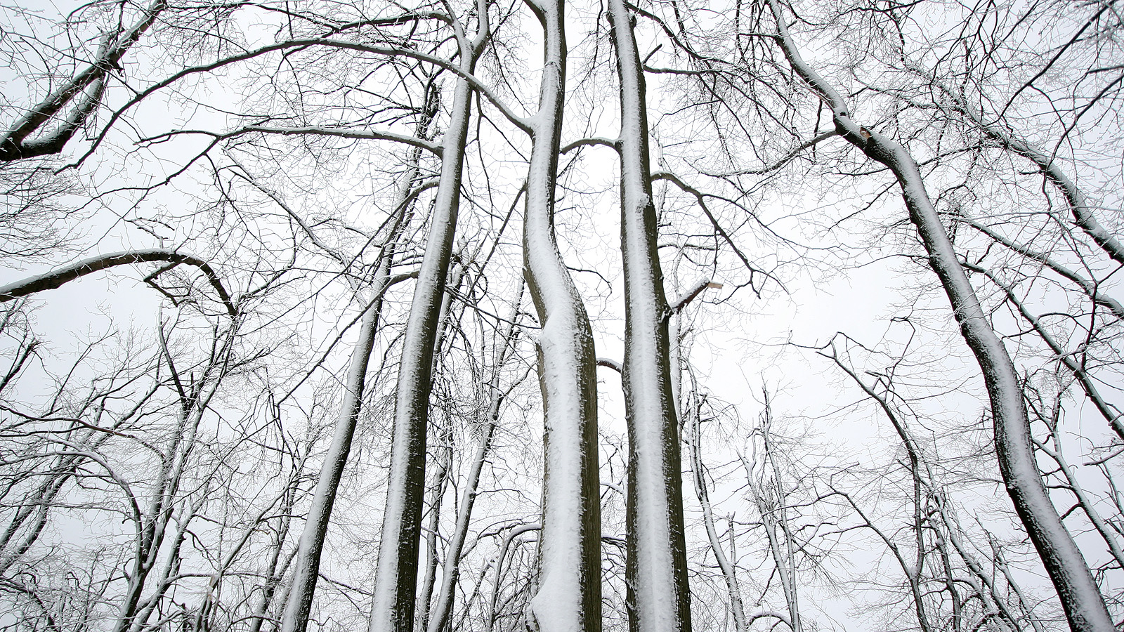 Illustration for article titled Itt a tél, és egyébként mindenki azt ír, amit akar, csak írjon!