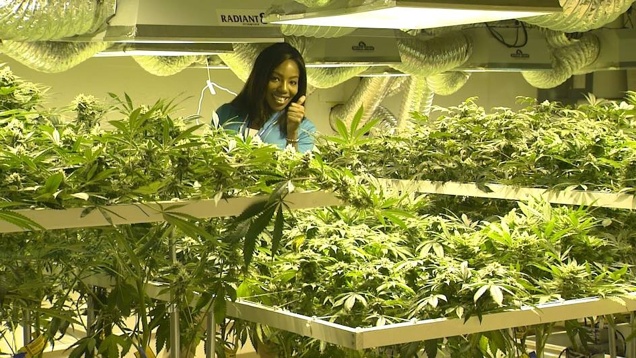 Alaszkai vagyok. Az alaszkaiak szívnak