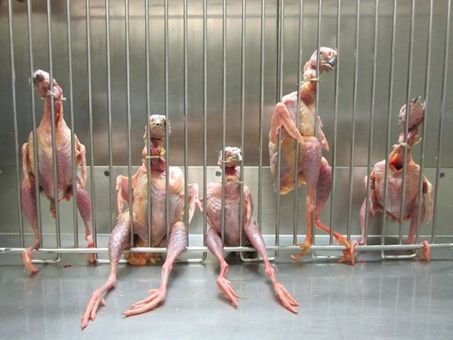 Michelin ide, csillag oda, a Borkonyha teljesen megvadult