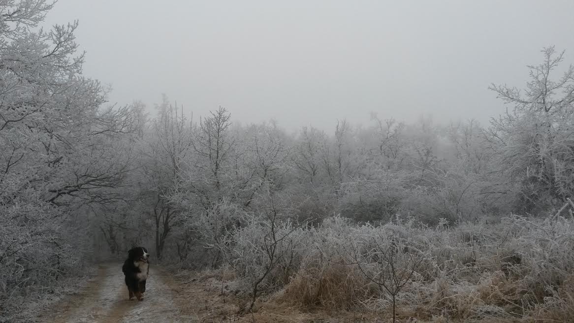 Illustration for article titled Időjárásjelentés