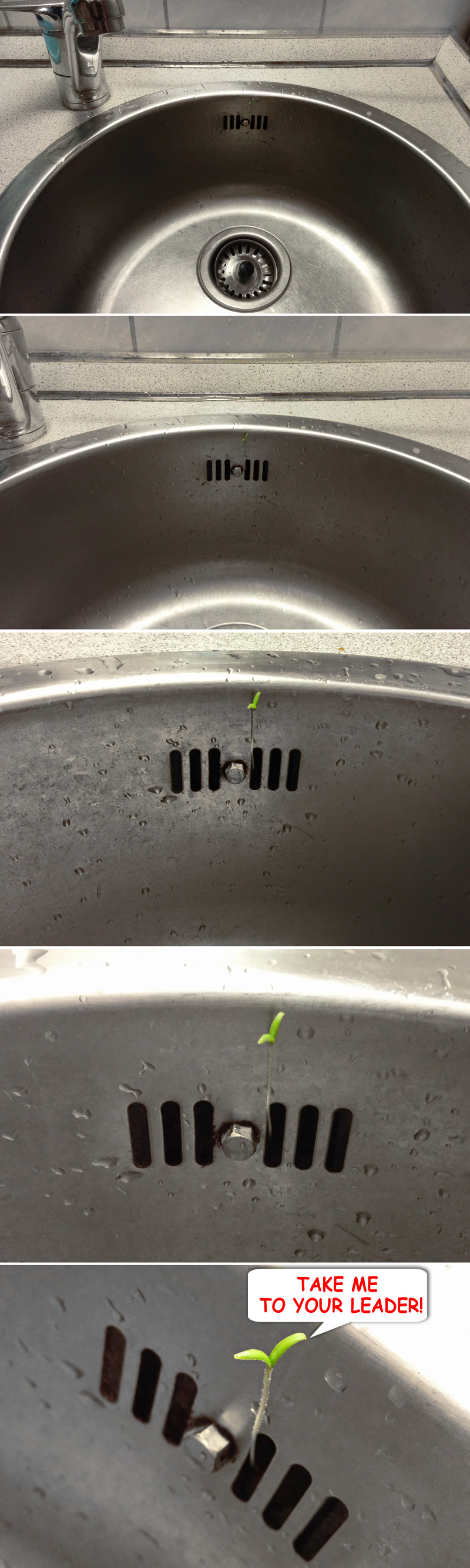 Illustration for article titled Rémisztő találkozásom a fékezhetetlen anyatermészettel