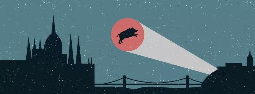 Illustration for article titled Pörög a mémgyár a pesti vaddisznók miatt