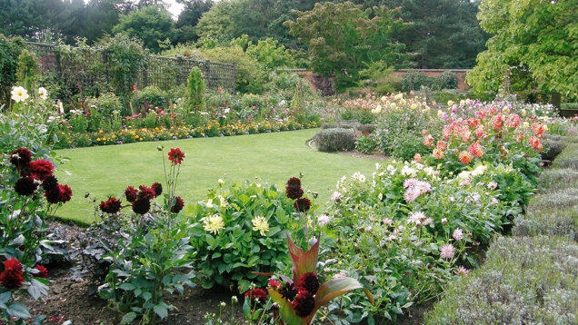 Egy hülyeségeket beszélő ember hülyeségeiről hülyeségeket beszélő ember