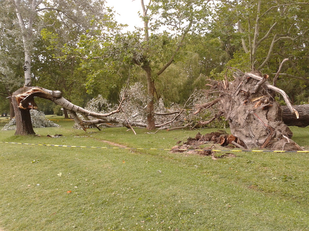 Illustration for article titled Trópusi vihar csapott le a Balatonra, van róla saját videónk