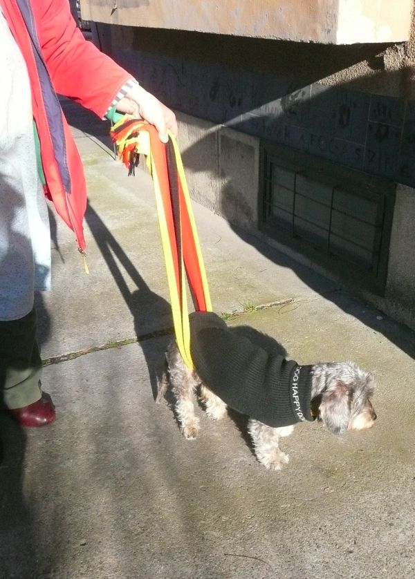 Illustration for article titled Hátsókerék meghajtású Zsombi