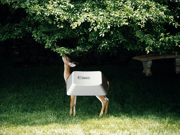 Egy kérdés maradt mára: ez mi?