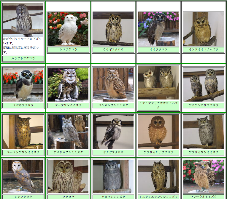 Illustration for article titled Hiába menekülsz, hiába futsz, a pingvined elől futni úgyse tudsz