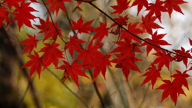 Hajnali fél öt óta csak egyre sötétebb lesz