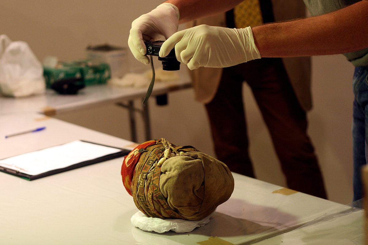 Illustration for article titled Hogy Sándor Terézia vámpír lett volna? Ugyan már!