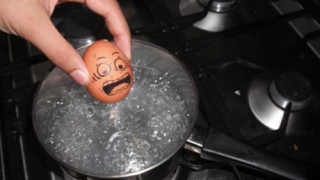 Mi a különbség a barna és a fehér tojás között?