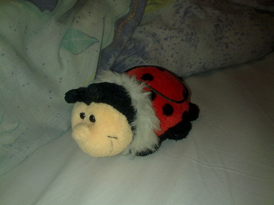 Mire jó egy Katicabandi? (Tetűszonett.)