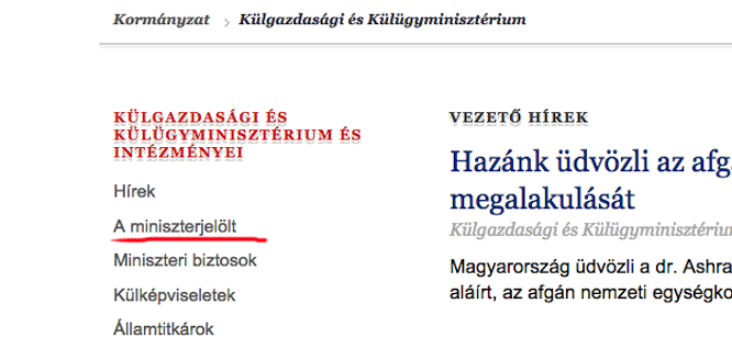 Szijjártó Péter egy aranyos, torkos kiscica