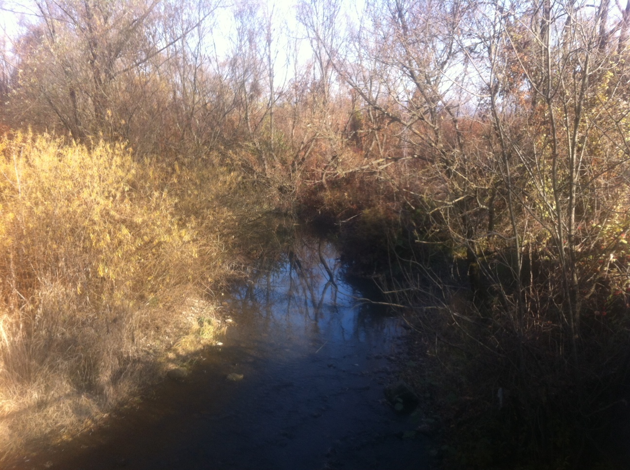 Illustration for article titled Az én kis városom