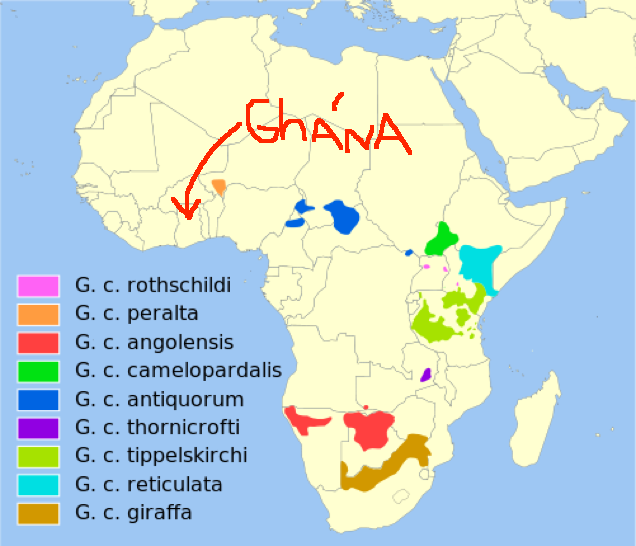 Illustration for article titled Zsiráffal gúnyolódtak Ghánán, pedig ott nem is élnek zsiráfok