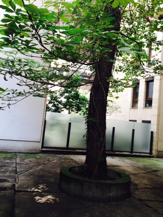 Illustration for article titled Ebbe az Andrássy úti bérpalotába költözik a Cink