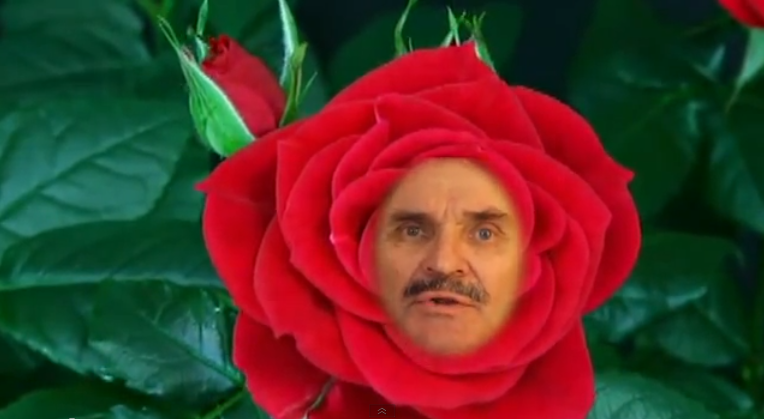 A magyar demokráciát már csak Adi Pop mentheti meg