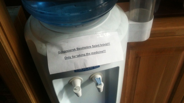 Öncélú vízivók lepték el Budapestet