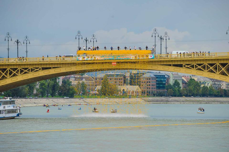 Így néz ki, amikor 50 000 gumikacsát dobnak a Dunába