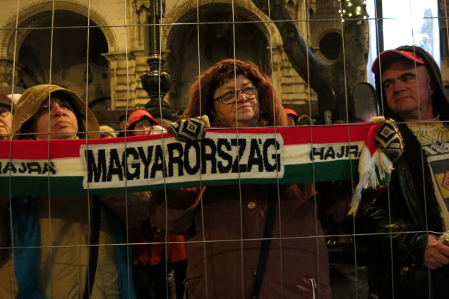 A forradalmat, barátaim, elvitte a cica