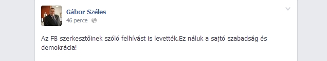 Illustration for article titled Széles Gábor csatát nyert a Facebook ellen